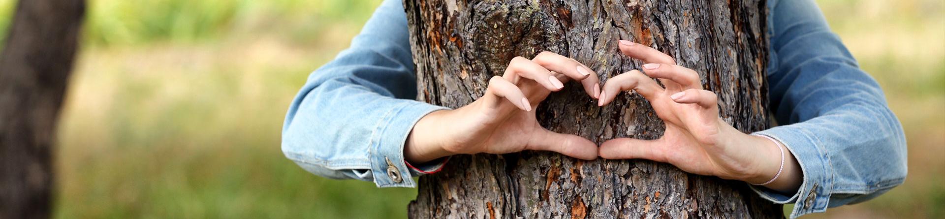 Mani formano un cuore abbracciando un albero, simbolo di amore per la natura.